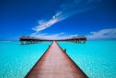 Vacation