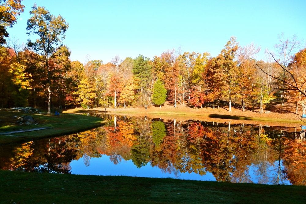 Great Orange County, NC CPA practice