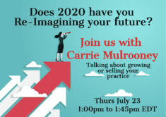 Accounting Practice Sales